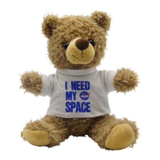 I Need My Space Bear